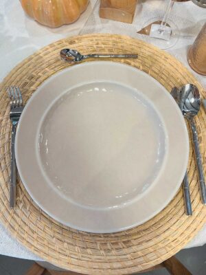 Plato principal melamina x2